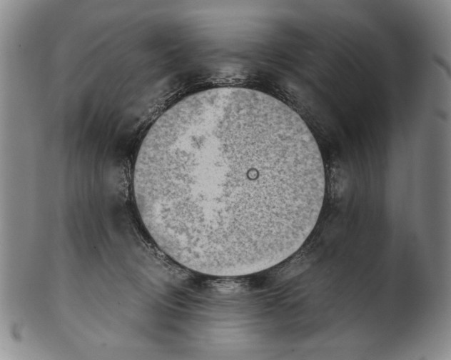 X0000101960370200808081533