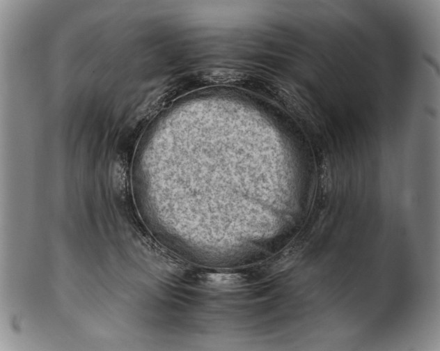 X0000101960371200808081533