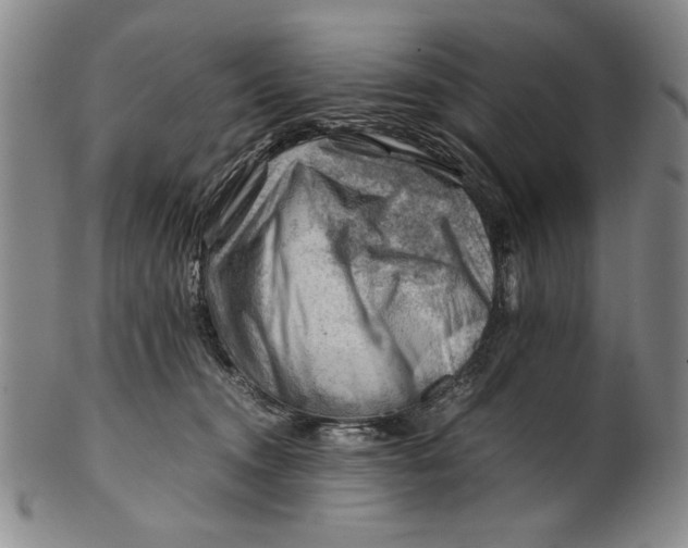 X0000101960372200808081533