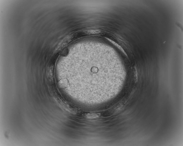 X0000101960373200808081533