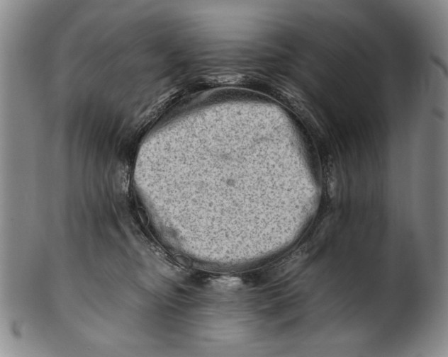 X0000101960374200808081533