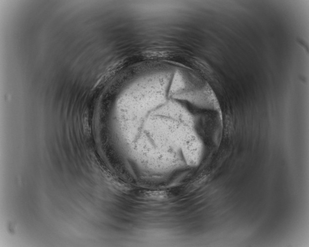 X0000101960377200808081534