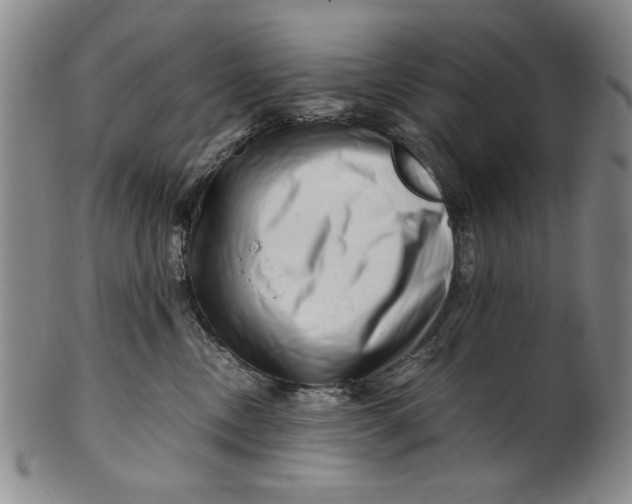 X0000101960378200808081534