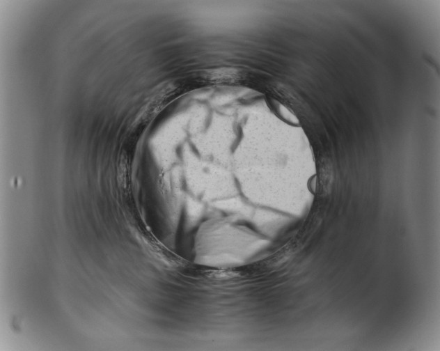 X0000101960379200808081534