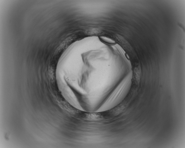 X0000101960380200808081534