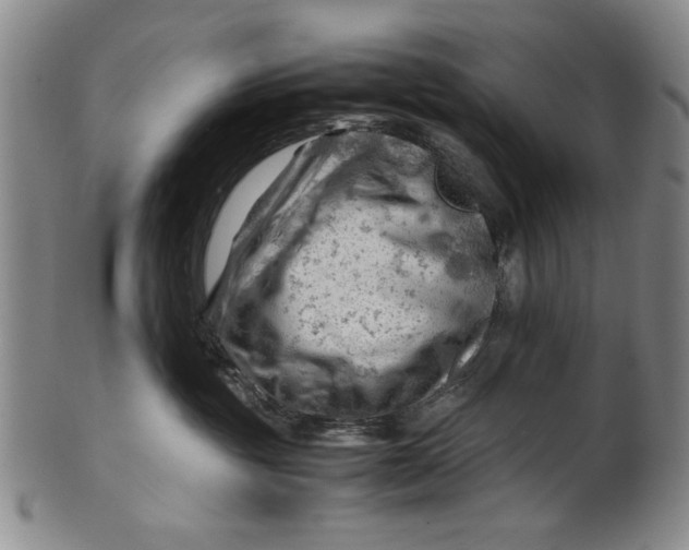 X0000101960381200808081534