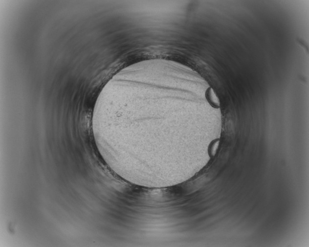 X0000101960382200808081534