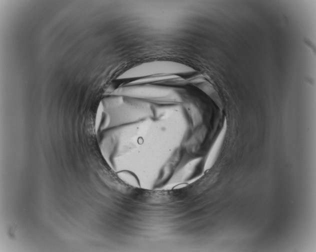 X0000101960384200808081534