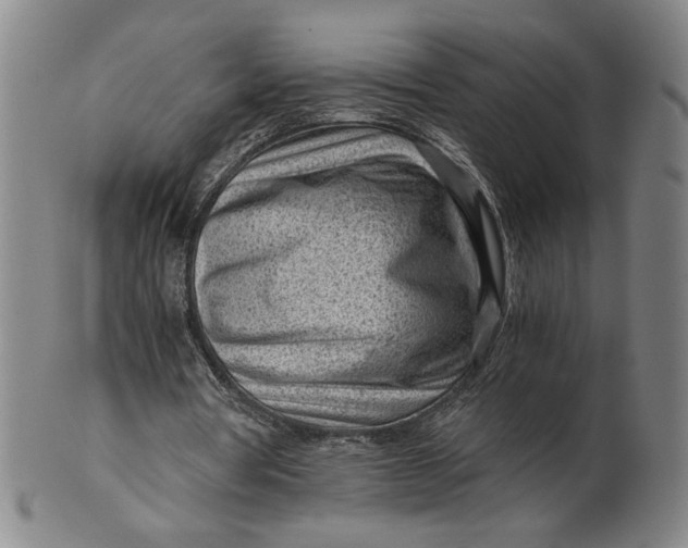 X0000101960386200808081533