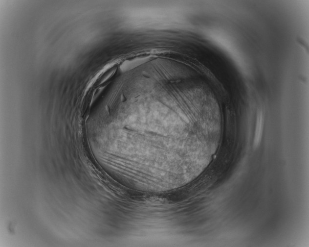 X0000101960387200808081533
