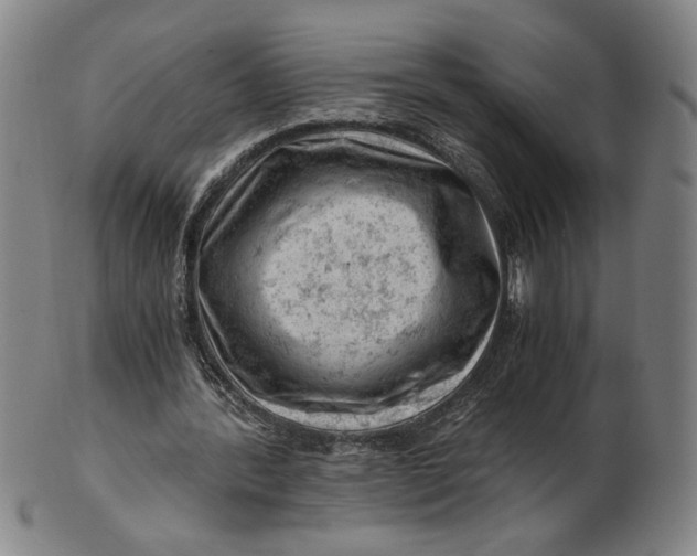 X0000101960388200808081533
