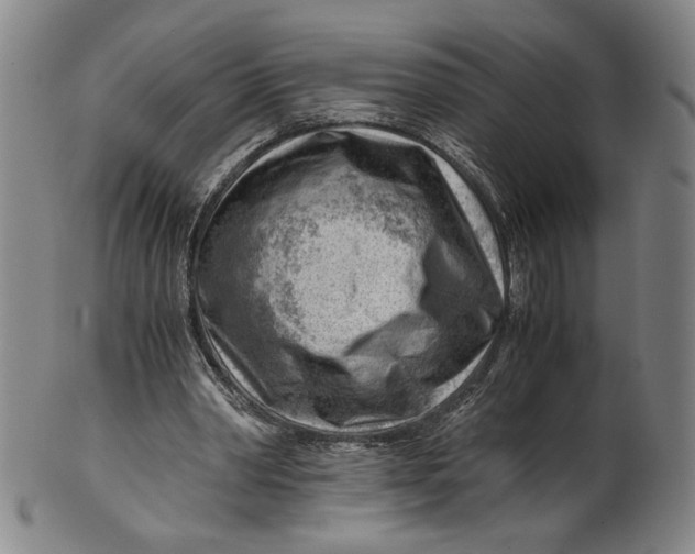 X0000101960390200808081533
