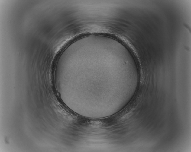 X0000101960391200808081533