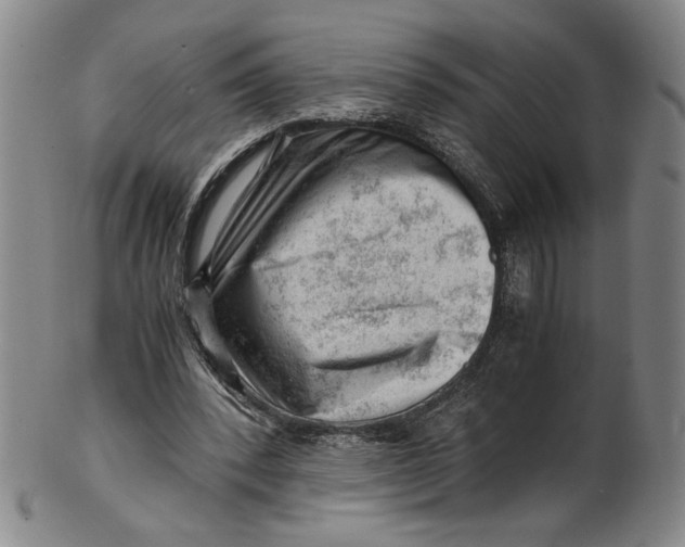 X0000101960392200808081533