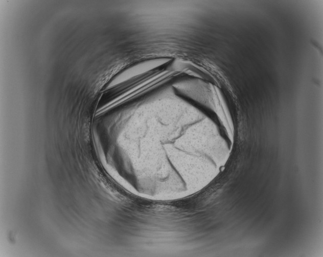 X0000101960393200808081533