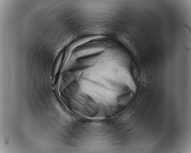 X0000101960394200808081533