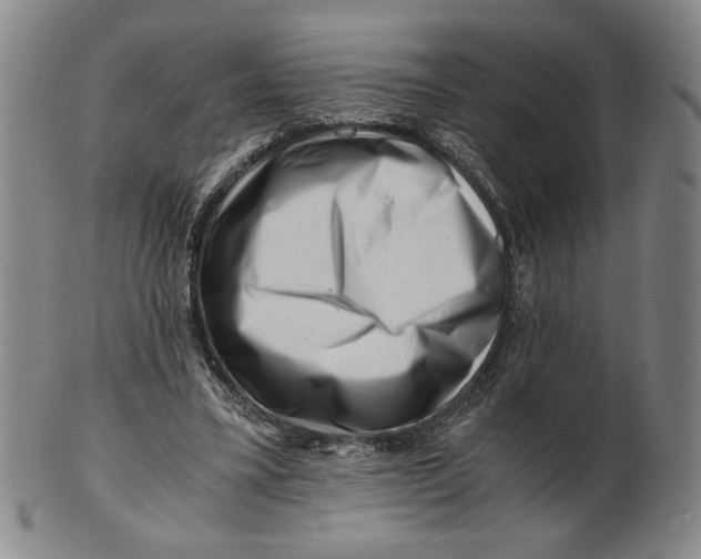 X0000101960395200808081533