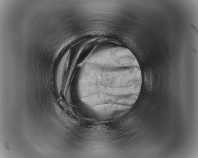 X0000101960396200808081533