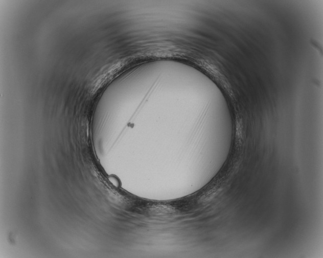 X0000101960397200808081533