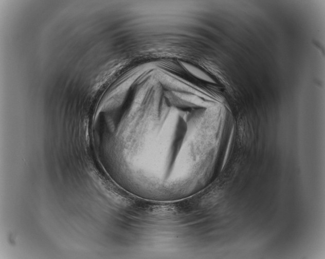 X0000101960398200808081533