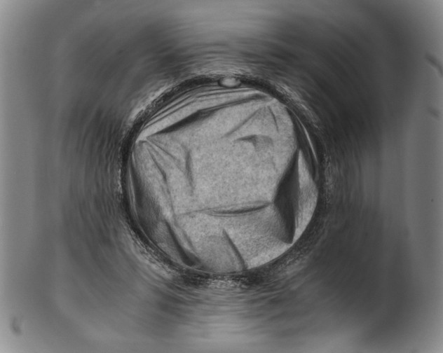 X0000101960399200808081533
