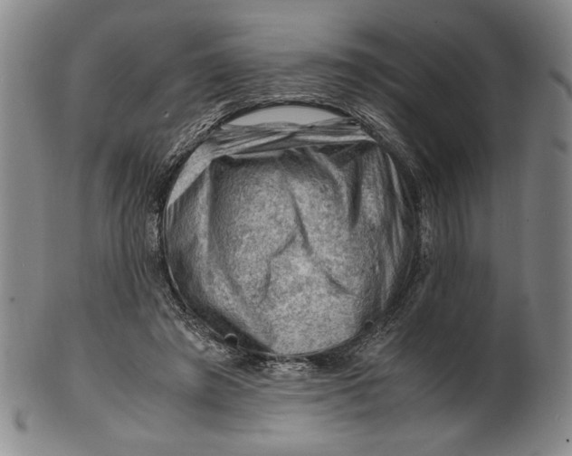 X0000101960401200808081533