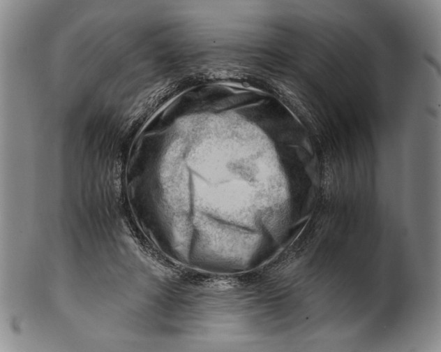 X0000101960402200808081533