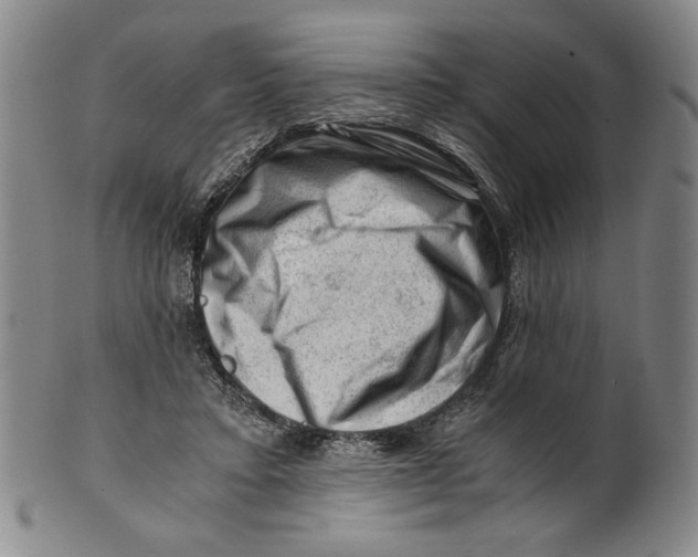 X0000101960403200808081533