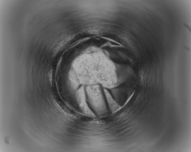 X0000101960404200808081533
