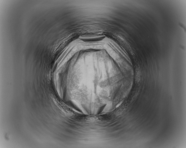 X0000101960405200808081533