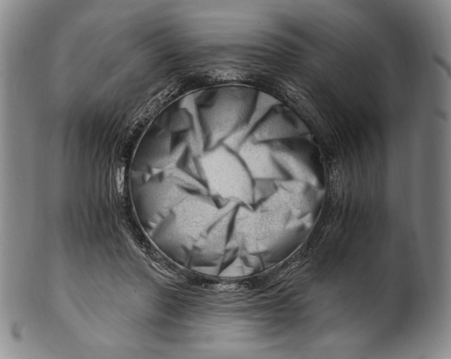 X0000101960406200808081533