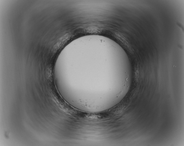 X0000101960407200808081533