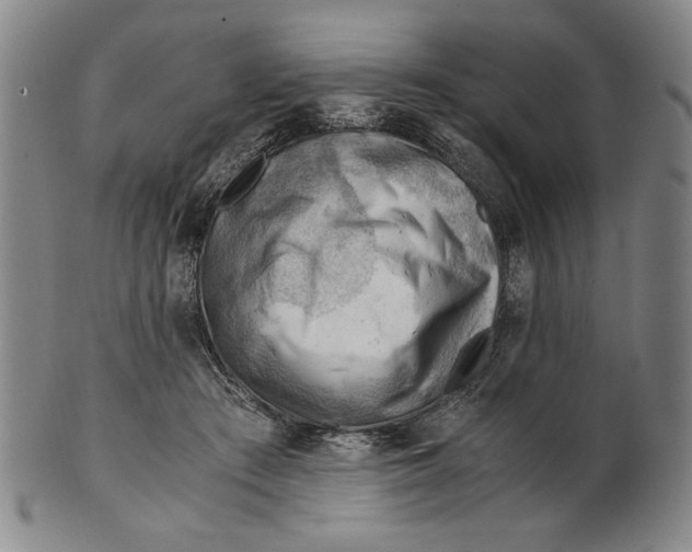 X0000101960409200808081533