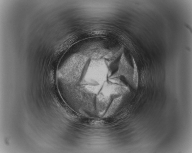 X0000101960410200808081533