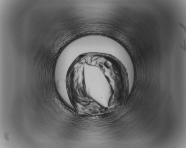 X0000101960411200808081533
