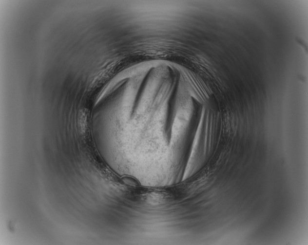 X0000101960412200808081533
