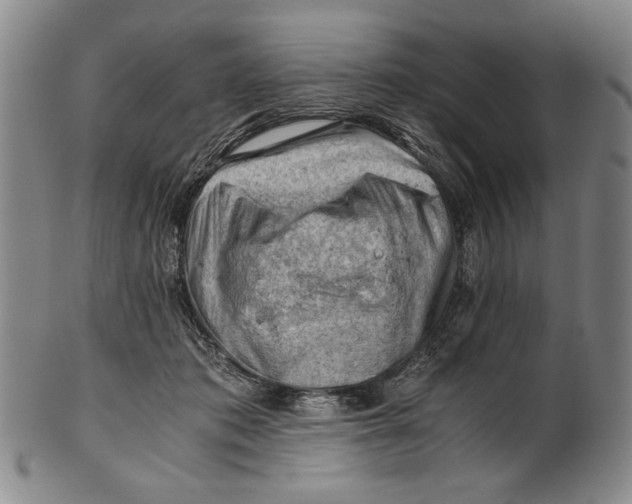 X0000101960413200808081533