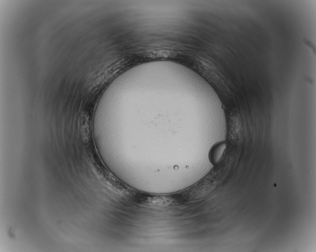 X0000101960414200808081532
