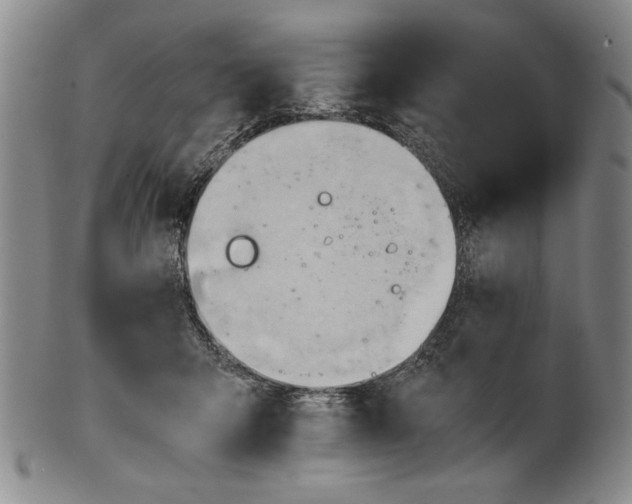 X0000101960415200808081532