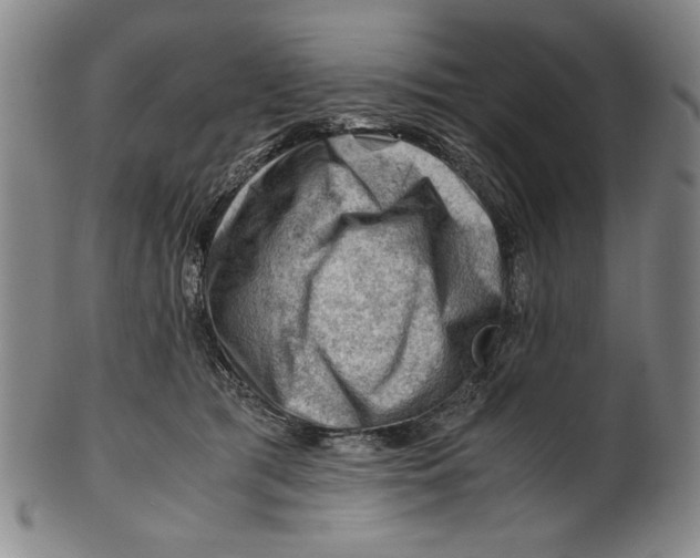 X0000101960417200808081532