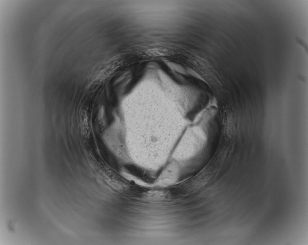 X0000101960418200808081532