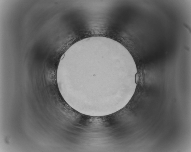 X0000101960419200808081532