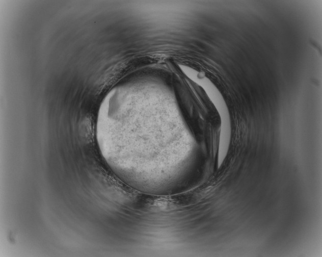 X0000101960420200808081532