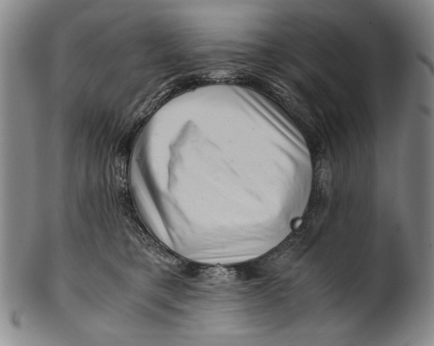 X0000101960421200808081532