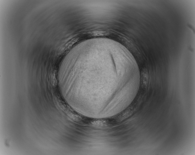 X0000101960422200808081532