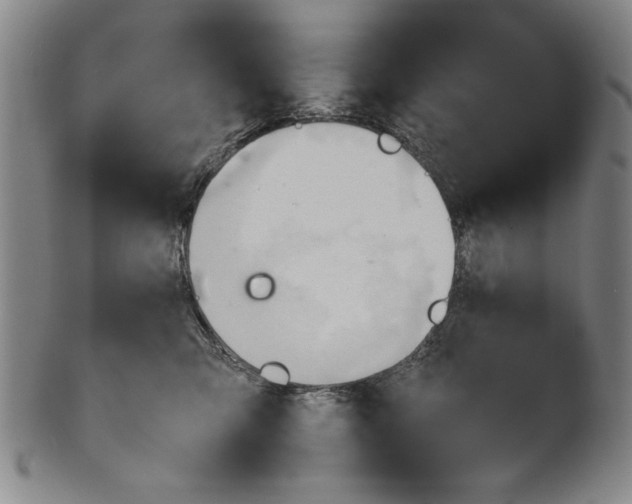 X0000101960423200808081532