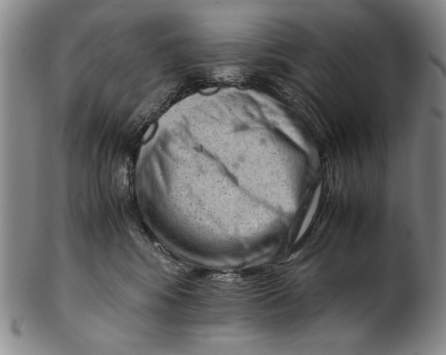 X0000101960424200808081532
