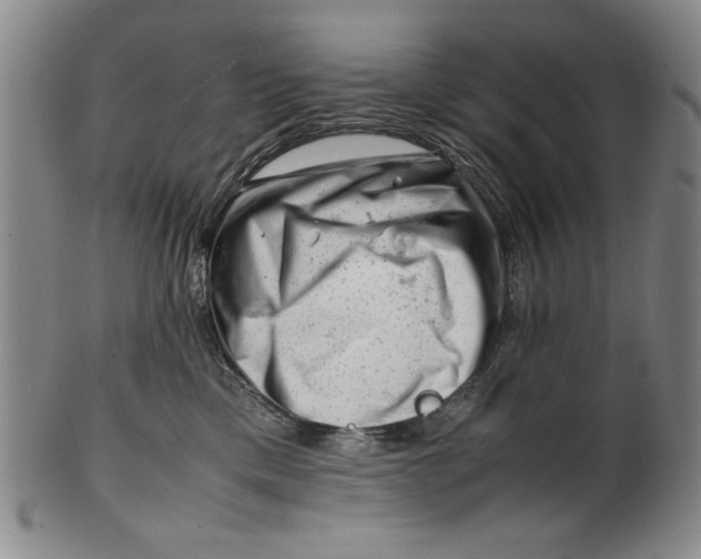 X0000101960425200808081532
