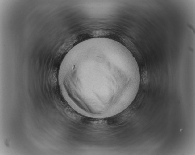 X0000101960426200808081532