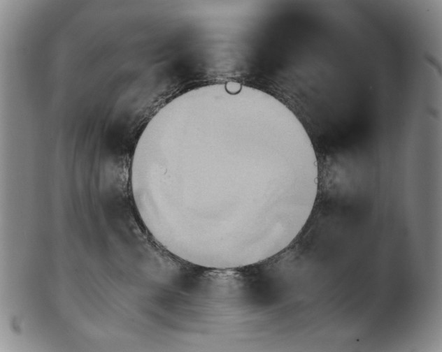 X0000101960427200808081532
